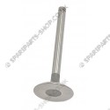 intake valve