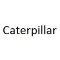 Caterpillar combustion engines