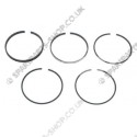 piston rings std